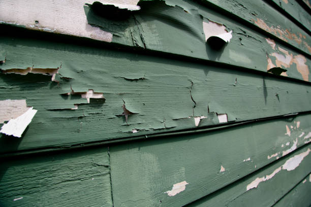Best Electronics and E-Waste Disposal  in Shortsville, NY