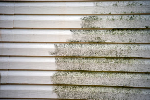 Best Construction Debris Removal  in Shortsville, NY