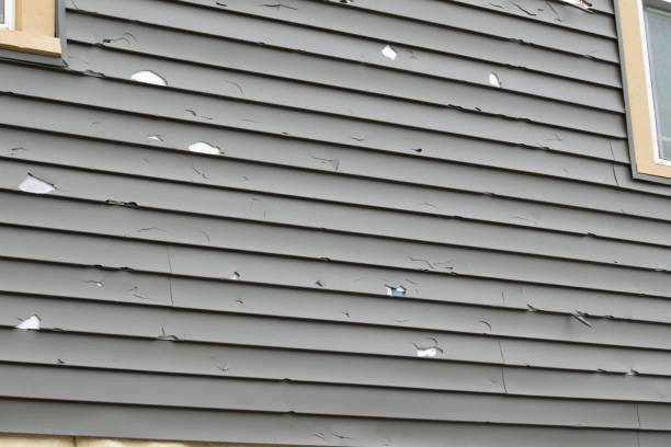 Best Same-Day Junk Removal Services  in Shortsville, NY